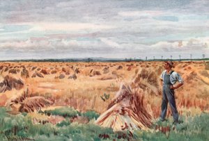 A lo largo de los Campos de Trigo de Manitoba de Harold Copping
