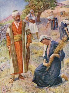 Antiguo Testamento: Rut espigada en el campo (litografía en color) de Harold Copping