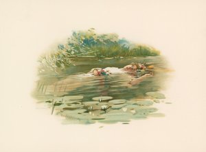Ofelia, ahogada