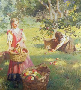 Manzanas