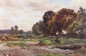 A Corner of Esher Common (litografía en color) de Harold Sutton Palmer