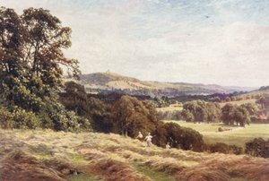 A Hayfield, Wonersh (litografía en color) de Harold Sutton Palmer