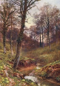 Evening Solitude, Ockley (litografía en color) de Harold Sutton Palmer