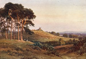 Reigate Heath, tarde (litografía en color) de Harold Sutton Palmer