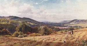 The Vale of Dorking (litografía en color) de Harold Sutton Palmer
