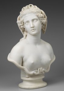 Medusa, c.1854 de Harriet Goodhue Hosmer