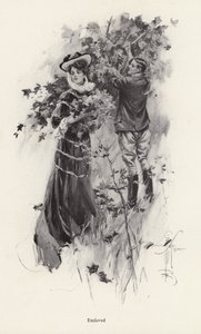 Mujer recogiendo flores con un admirador de Harrison Fisher