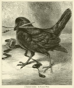 Una grajilla escolar de Harrison William Weir