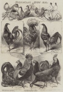 Exposición de Birmingham 1858