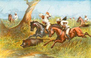 Jabalí - 