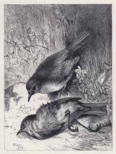 Muerte de la pareja de Robin de Harrison William Weir