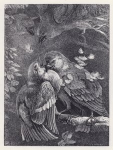 Pelea entre un pinzón y un gorrión de Harrison William Weir