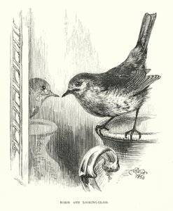 Robin y el espejo de Harrison William Weir