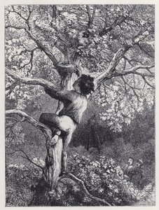 Tomando el Nido de los Jilgueros de Harrison William Weir