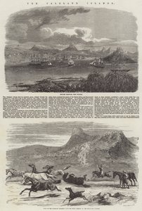 Las Islas Malvinas de Harrison William Weir