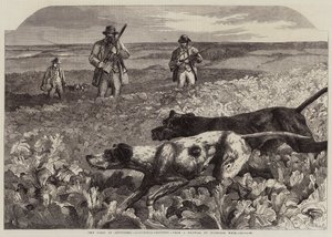El primero de septiembre, caza de perdices de Harrison William Weir