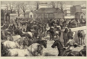 El suministro de alimentos de París, mercado de caballos de carniceros, Boulevard d