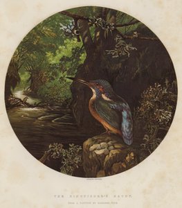 El Refugio del Martín Pescador de Harrison William Weir