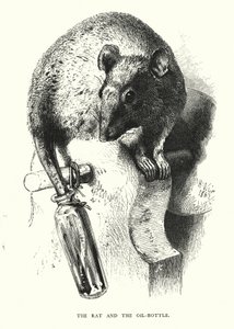 La rata y la botella de aceite de Harrison William Weir