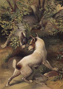 Dos perros tratando de llegar a un charco de agua para beber (chromolitho) de Harrison William Weir