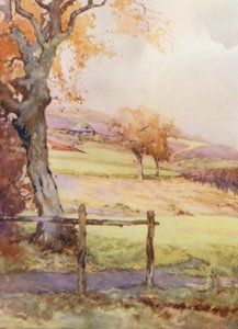 Campos de golf: Broadstone, el cuarto hoyo (litografía en color)