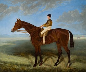 Salpinctes-un caballo de carreras, c.1814-82 (óleo sobre lienzo) de Harry (after) Hall