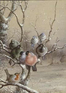 Pájaros en una rama nevada