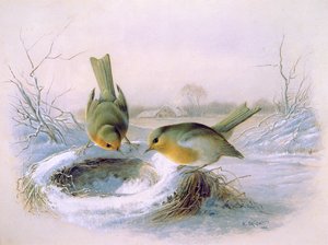 Nido de los Últimos Años, 1886 de Harry Bright