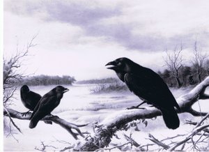 Cuervos en invierno