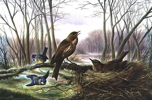 El heraldo de la primavera de Harry Bright
