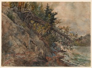 Lago Memphremagog, c. 1880s de Harry Fenn