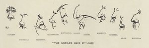 Los Noes-es (es decir, las narices de los políticos) lo tienen - 1883