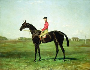 Un caballo de carreras con un jinete en el hipódromo de Newmarket (óleo sobre lienzo)