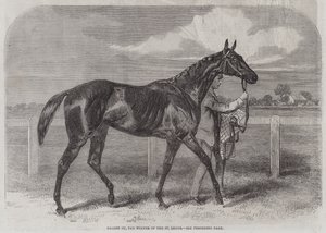 Caller Ou, el ganador del St Leger de Harry Hall