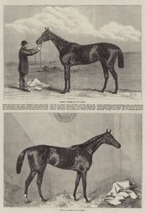 Caballo de carreras