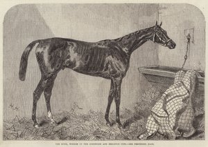 El Duque, ganador de las Copas de Goodwood y Brighton de Harry Hall