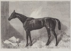 El Marqués, ganador de las Two Thousand Guineas Stakes en Newmarket de Harry Hall