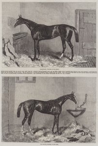 Ganadores del Derby y Oaks