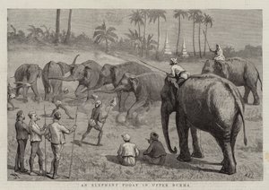Un elefante Pooay en la Alta Birmania de Harry Hamilton Johnston