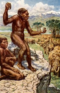 Humanidad Neandertal