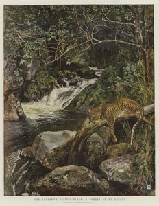 El lugar de descanso del leopardo, un rincón de mi jardín de Harry Hamilton Johnston