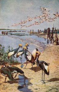 Las costas del norte del lago Chad, vistas por Denham en 1822 de Harry Hamilton Johnston