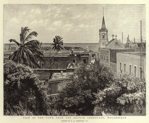 Vista de la ciudad desde el consulado británico, Mozambique de Harry Hamilton Johnston