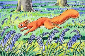 Pequeña Ardilla Roja de Harry M. Pettit