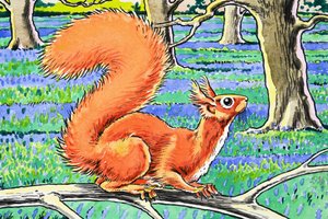 Pequeña ardilla roja