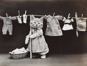 Serie Gatitos: Secando la ropa, c.1914 (grabado en plata)