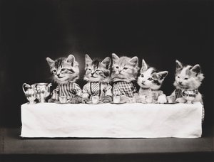 Serie Gatitos: Última Cena, c.1914 (grabado en plata) de Harry Whittier Frees