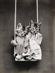 Serie Gatitos: En un columpio, c.1914 (grabado en plata)