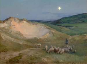 Atardecer en las dunas (óleo sobre lienzo)