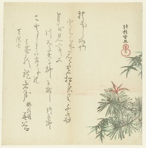 Pinos de Hasegawa Settan